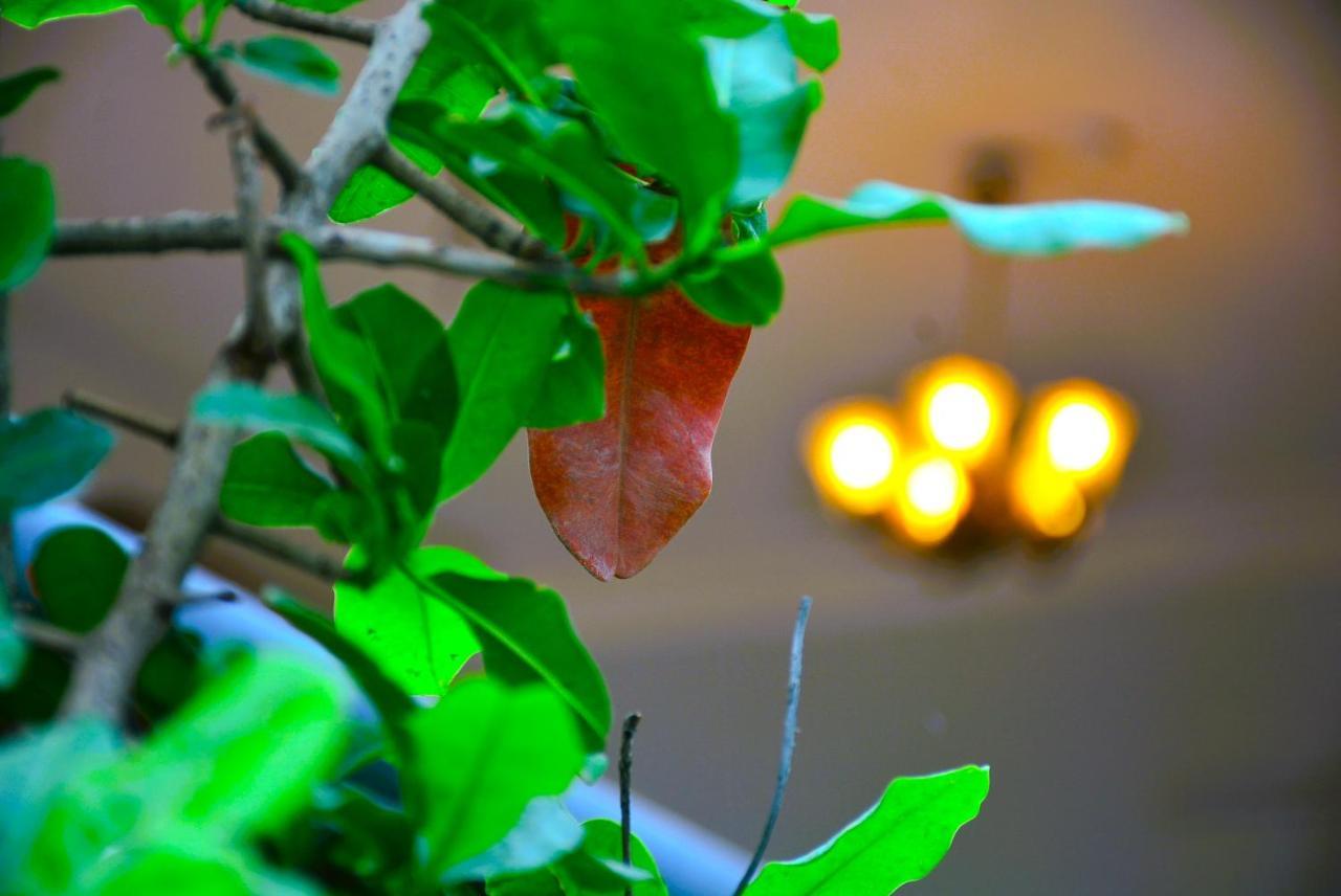 Malaiya Homestay - Grandeur Living Experience Jabalpur Buitenkant foto